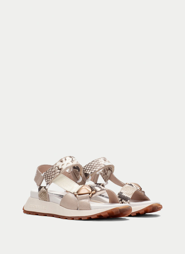 Sport Sandals maui taupe/Snake